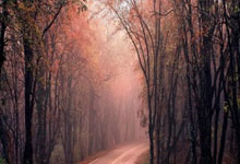 股票开户a股需要什么条件:昆明配资平台-90后、00后“跑步进场”！牛市氛围起来了 券商积极备战 新开户数同比激增71%